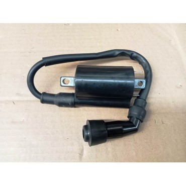 Arora Mt 125 Ateşleme Bobi̇ni̇