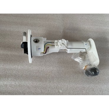Arora Chinf 318 Benzi̇n Pompasi