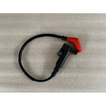 Arora Chinf 318 Ateşleme Bobi̇ni̇