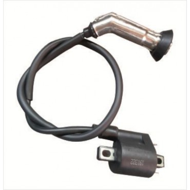 Arora Special 125 Ateşleme Bobi̇ni̇ (Euro 3)