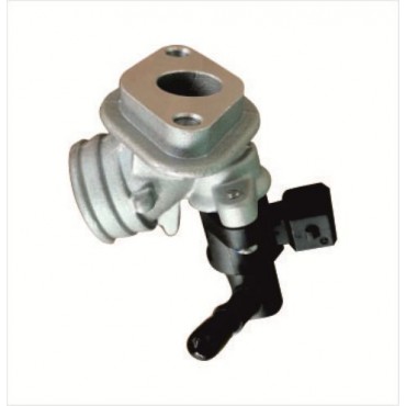 Arora Freedom 50  Enjeksi̇yon Komple